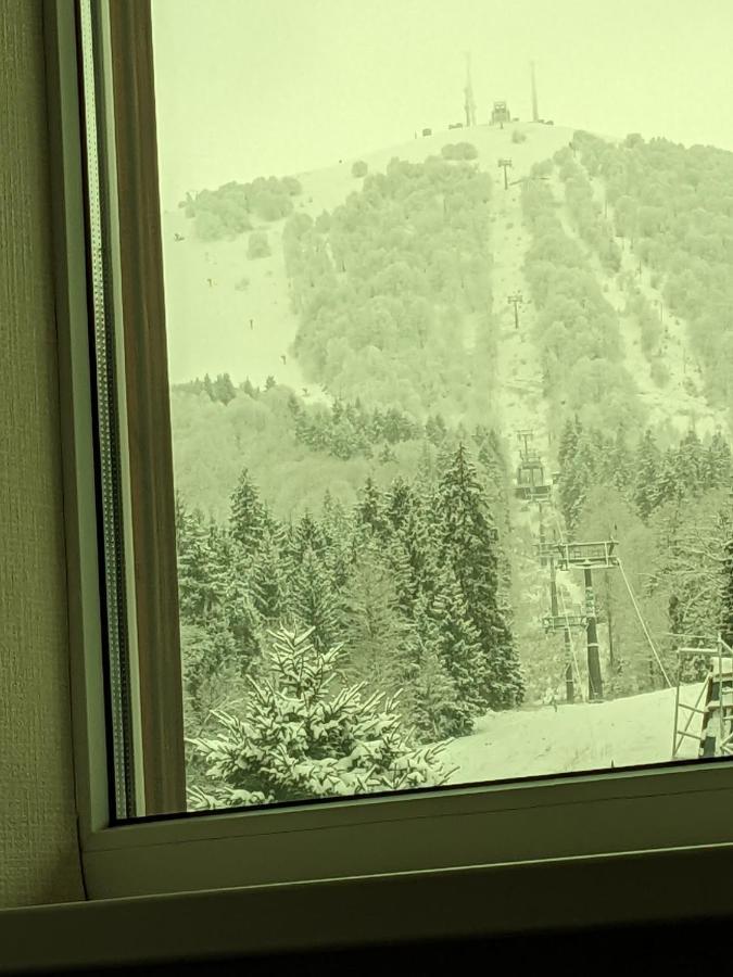 Chalet Kokhta Bakuriani Eksteriør bilde